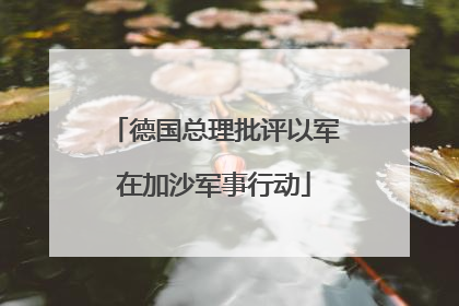德国总理批评以军在加沙军事行动