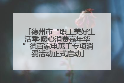 德州市“职工美好生活季·暖心消费嘉年华”德百家电惠工专项消费活动正式启动