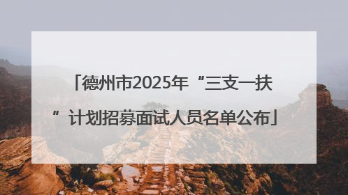 德州市2025年“三支一扶”计划招募面试人员名单公布