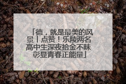 德，就是最美的风景丨点赞！乐陵两名高中生深夜拾金不昧 彰显青春正能量