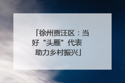 徐州贾汪区：当好“头雁”代表 助力乡村振兴