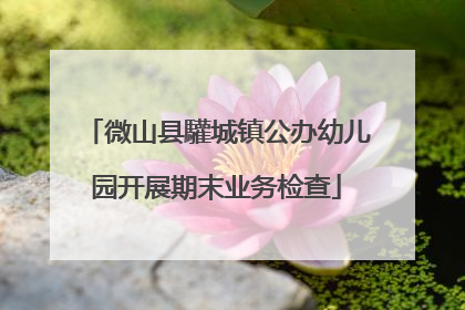 微山县驩城镇公办幼儿园开展期末业务检查