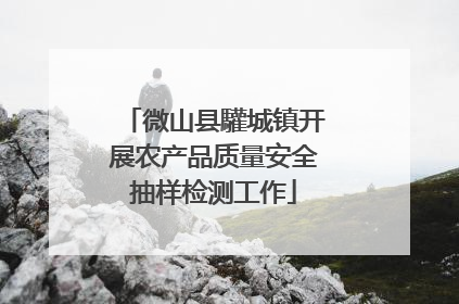 微山县驩城镇开展农产品质量安全抽样检测工作