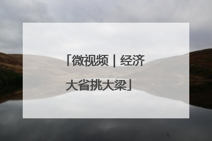 微视频｜经济大省挑大梁