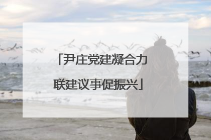 尹庄党建凝合力 联建议事促振兴