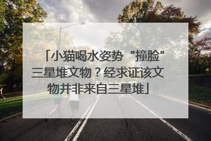 小猫喝水姿势“撞脸”三星堆文物？经求证该文物并非来自三星堆