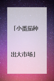 小番茄种出大市场