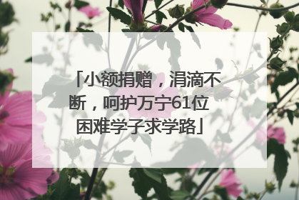 小额捐赠，涓滴不断，呵护万宁61位困难学子求学路