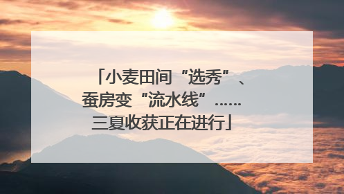 小麦田间“选秀”、蚕房变“流水线”……三夏收获正在进行