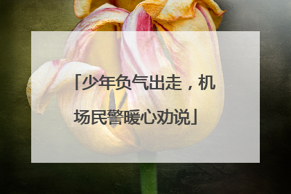 少年负气出走，机场民警暖心劝说