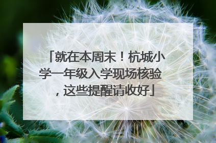 就在本周末！杭城小学一年级入学现场核验，这些提醒请收好