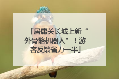 居庸关长城上新“外骨骼机器人”！游客反馈省力一半