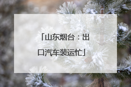 山东烟台：出口汽车装运忙