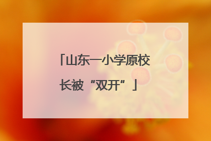 山东一小学原校长被“双开”