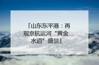 山东东平港：再现京杭运河“黄金水道”盛景