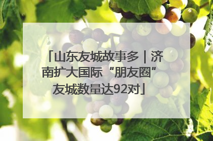 山东友城故事多｜济南扩大国际“朋友圈”友城数量达92对