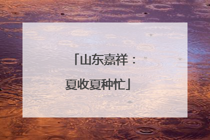 山东嘉祥：夏收夏种忙