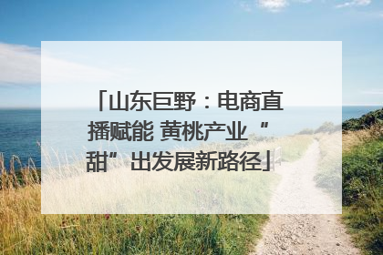 山东巨野：电商直播赋能 黄桃产业“甜”出发展新路径