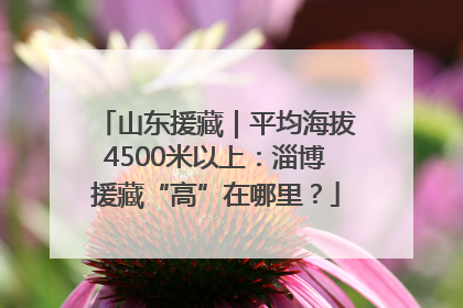 山东援藏｜平均海拔4500米以上：淄博援藏“高”在哪里？