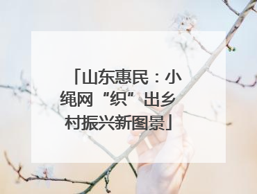 山东惠民：小绳网“织”出乡村振兴新图景