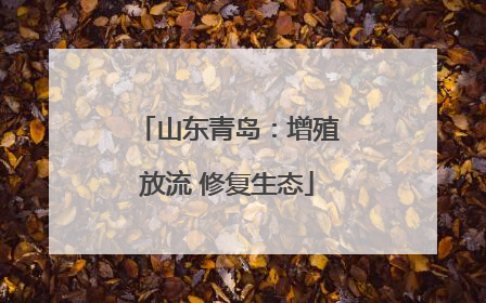 山东青岛：增殖放流 修复生态