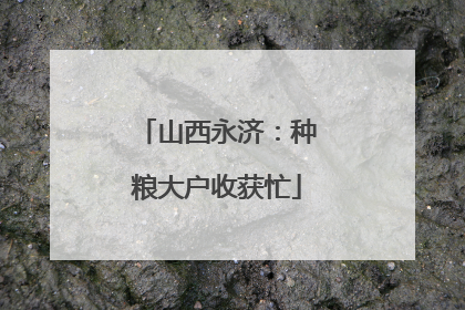 山西永济：种粮大户收获忙