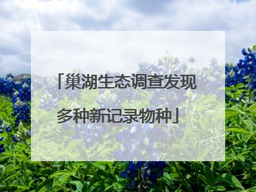 巢湖生态调查发现多种新记录物种