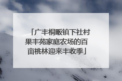 广丰桐畈镇下社村果丰苑家庭农场的百亩桃林迎来丰收季