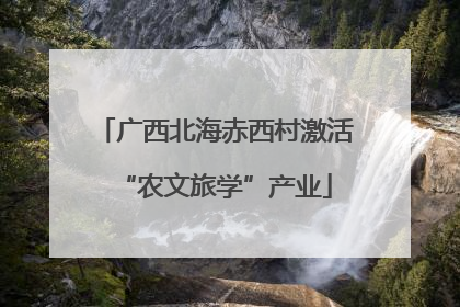 广西北海赤西村激活“农文旅学”产业