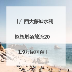 广西大藤峡水利枢纽增殖放流201.9万尾鱼苗