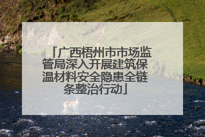 广西梧州市市场监管局深入开展建筑保温材料安全隐患全链条整治行动