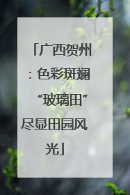 广西贺州：色彩斑斓“玻璃田”尽显田园风光