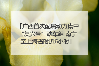广西首次配属动力集中“复兴号”动车组 南宁至上海省时近6小时