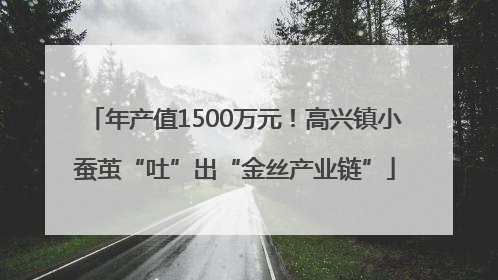 年产值1500万元！高兴镇小蚕茧“吐”出“金丝产业链”