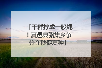 干群拧成一股绳！夏邑县骆集乡争分夺秒促夏种