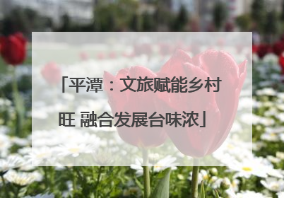 平潭：文旅赋能乡村旺 融合发展台味浓