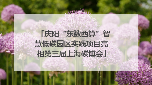 庆阳“东数西算”智慧低碳园区实践项目亮相第三届上海碳博会