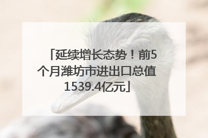 延续增长态势！前5个月潍坊市进出口总值1539.4亿元