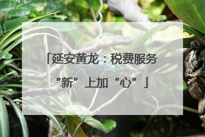 延安黄龙：税费服务“新”上加“心”