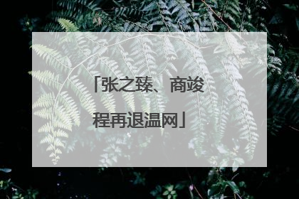张之臻、商竣程再退温网