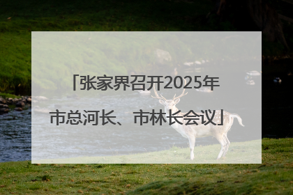张家界召开2025年市总河长、市林长会议