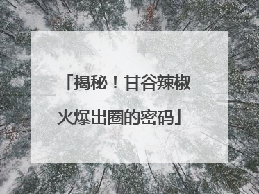揭秘！甘谷辣椒火爆出圈的密码