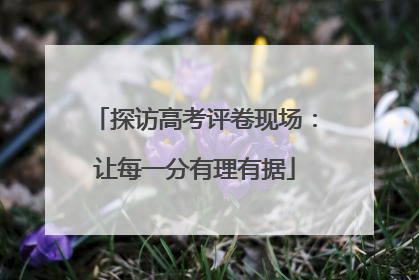 探访高考评卷现场：让每一分有理有据