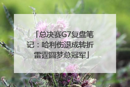 总决赛G7复盘笔记：哈利伤退成转折 雷霆圆梦总冠军