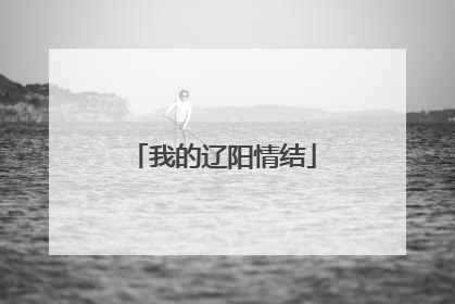 我的辽阳情结