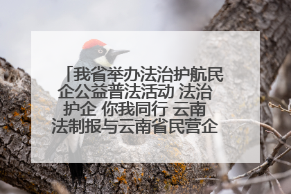 我省举办法治护航民企公益普法活动 法治护企 你我同行 云南法制报与云南省民营企业家协会携手共建“媒体+协会+企业”法治服务生态圈