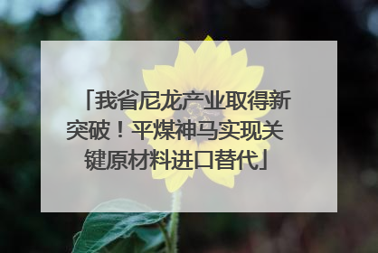 我省尼龙产业取得新突破！平煤神马实现关键原材料进口替代
