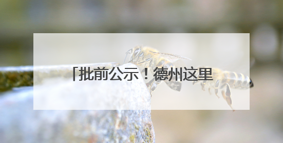 批前公示！德州这里拟新建一处便民市场