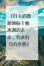 打卡消费新地标丨衡水湖边走一走，有水有鸟有乡愁