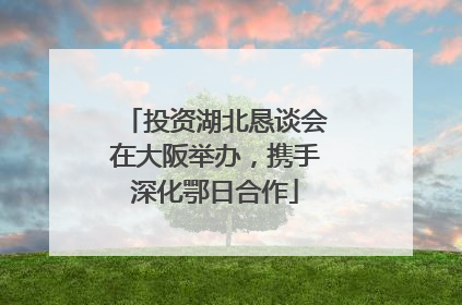 投资湖北恳谈会在大阪举办，携手深化鄂日合作